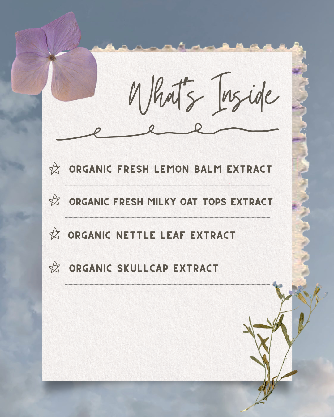 Find your Center Herbal Drops - Nervous-system-nourishment