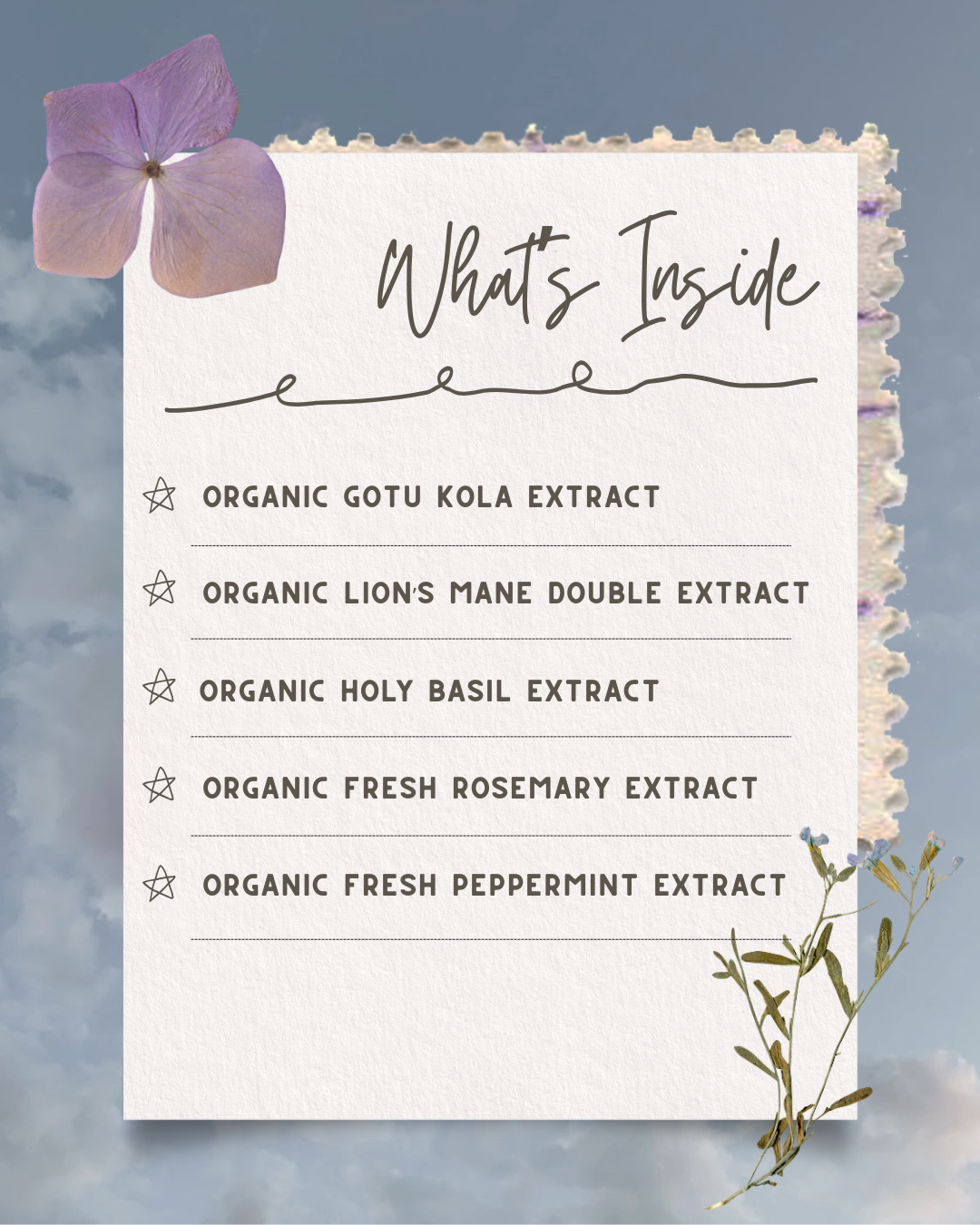 Headspace Herbal Drops - Cognitive Clarity