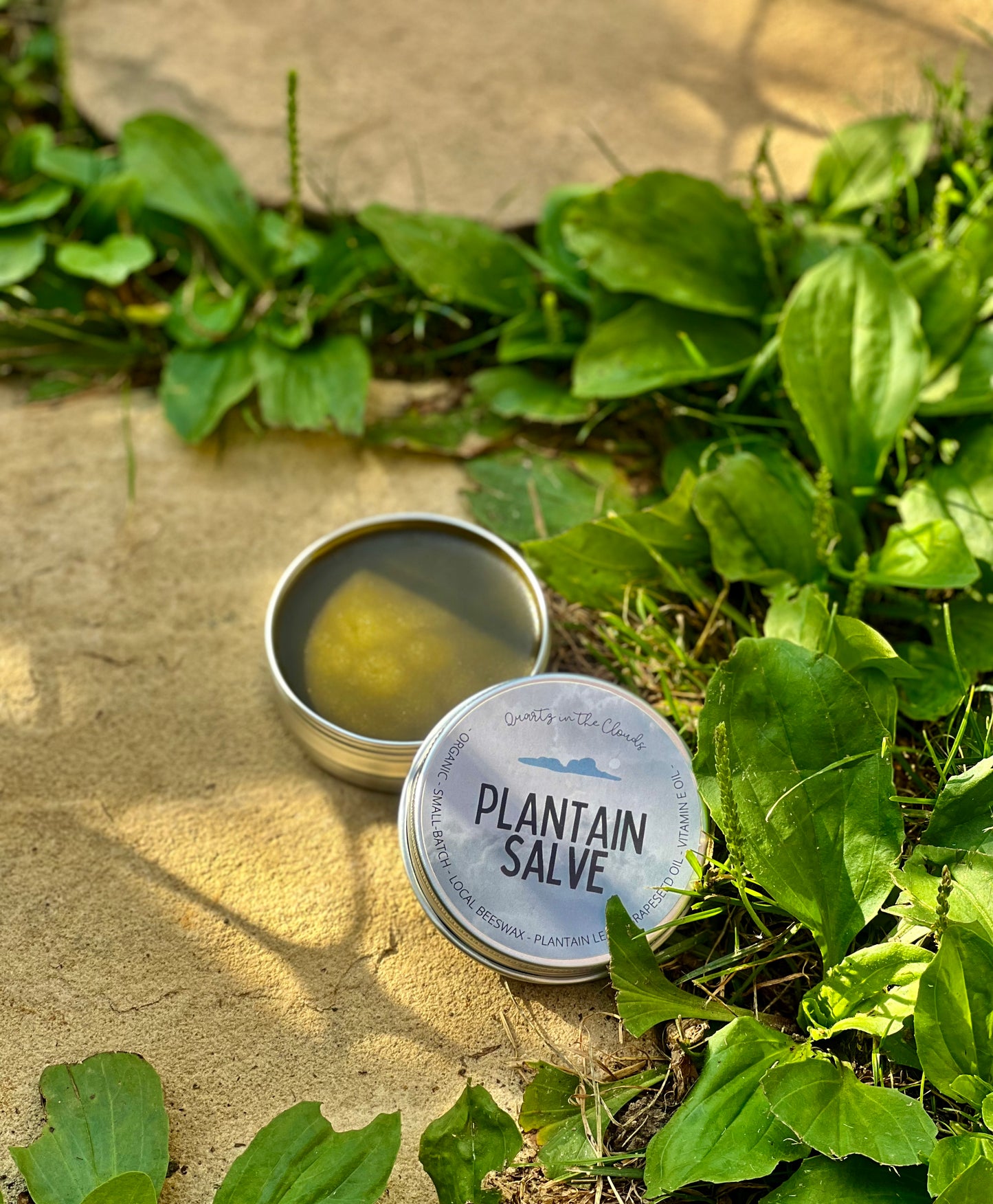 Plantain Salve
