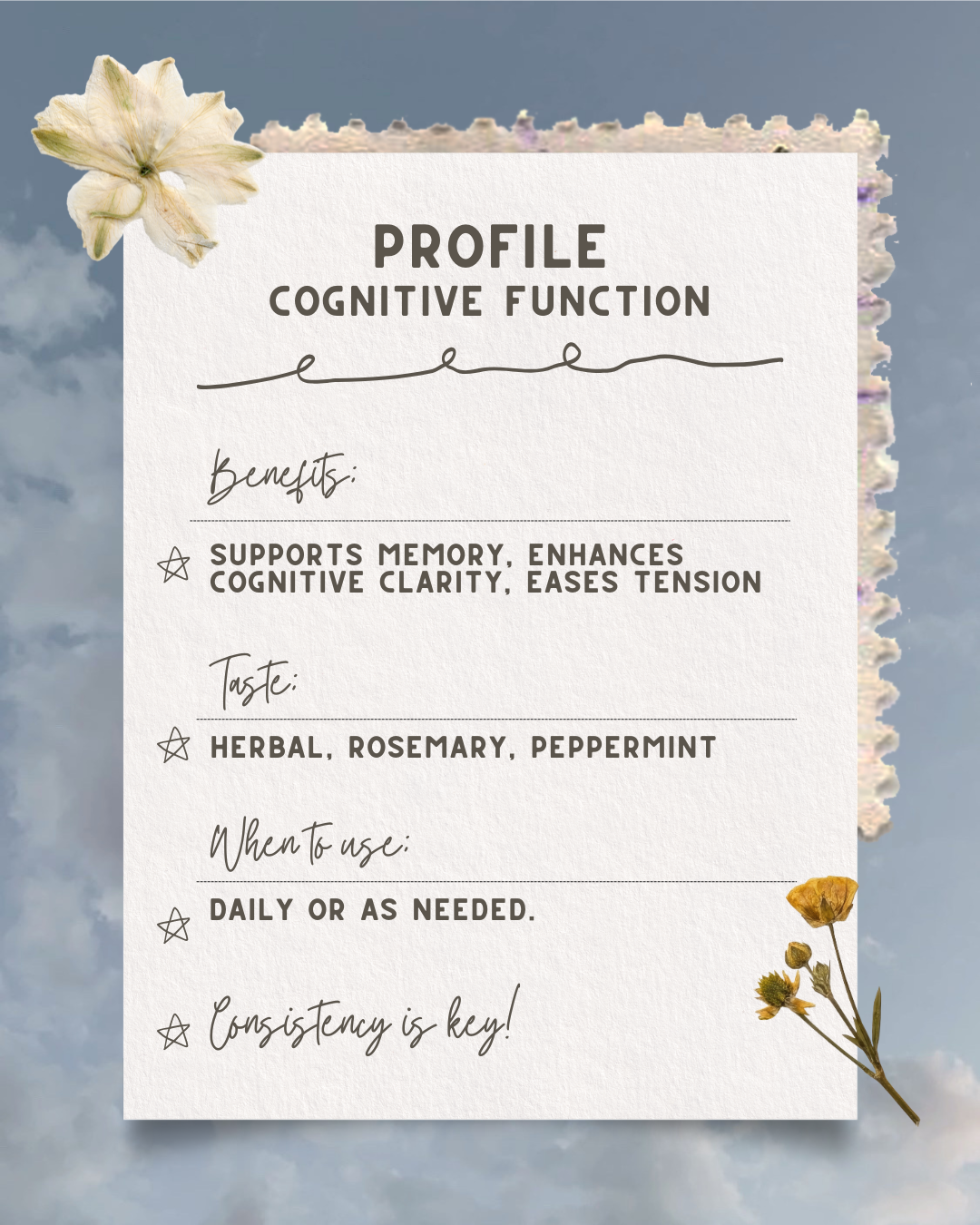 Headspace Herbal Drops - Cognitive Clarity
