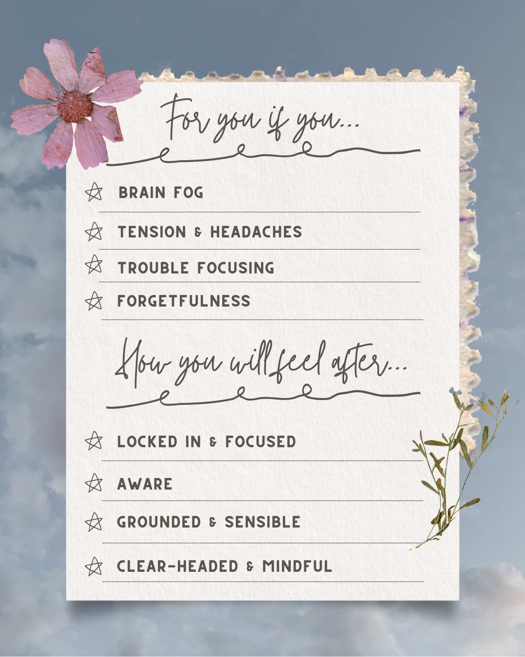 Headspace Herbal Drops - Cognitive Clarity