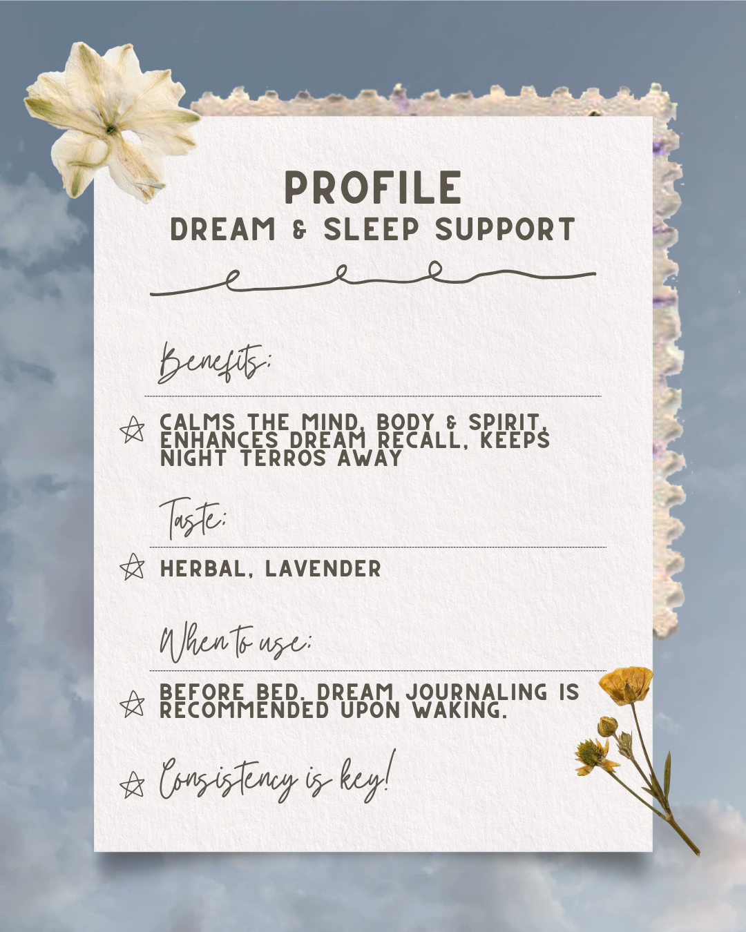 Dreamweaver Herbal Drops - Dream Support