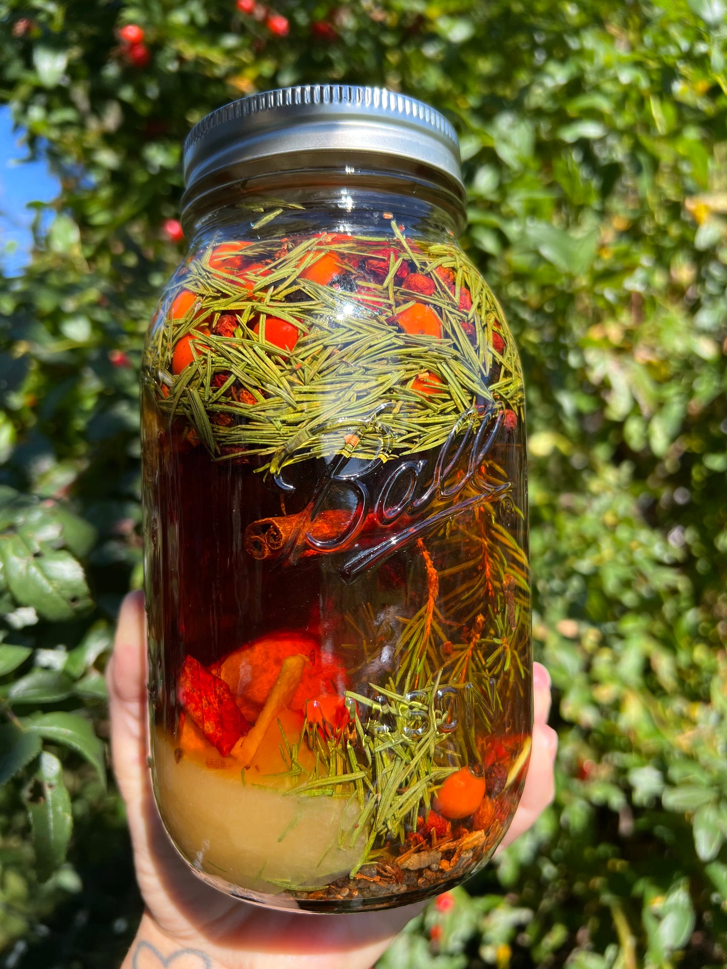 Enchanted Forest Cordial