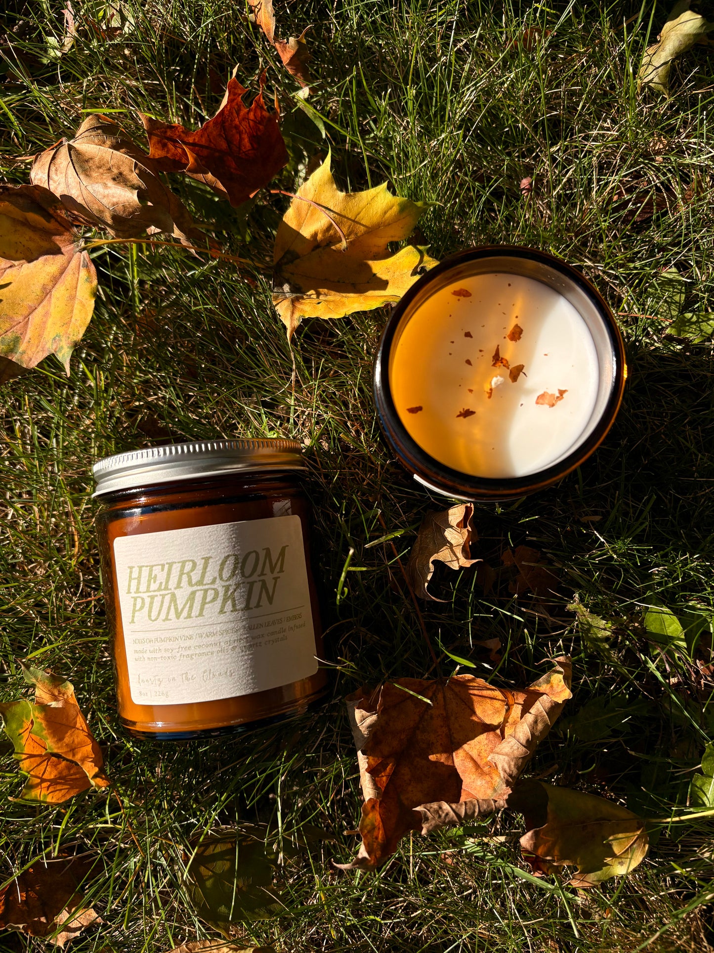 Heirloom Pumpkin