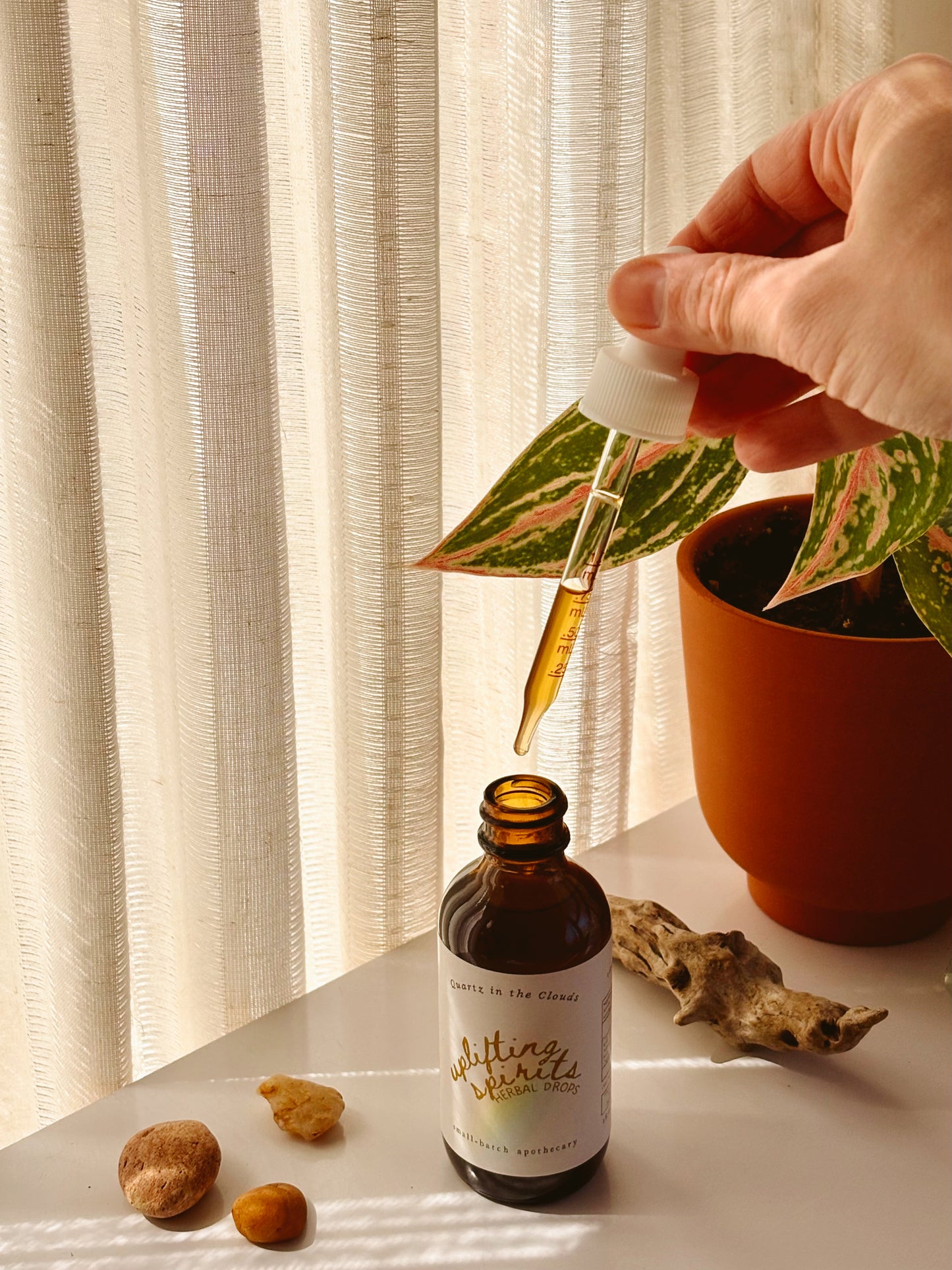 Uplifting Spirits Herbal Drops - Adaptogen/Immune Support