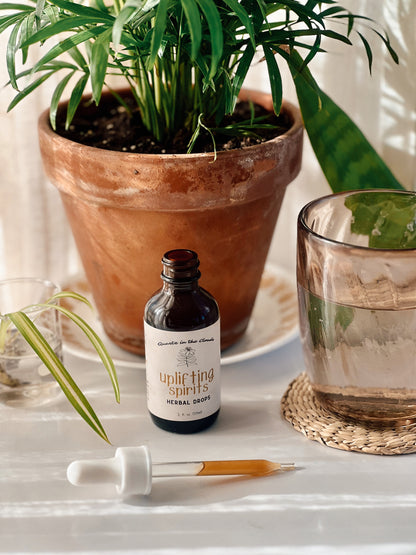 Uplifting Spirits Herbal Drops - Adaptogen/Immune Support
