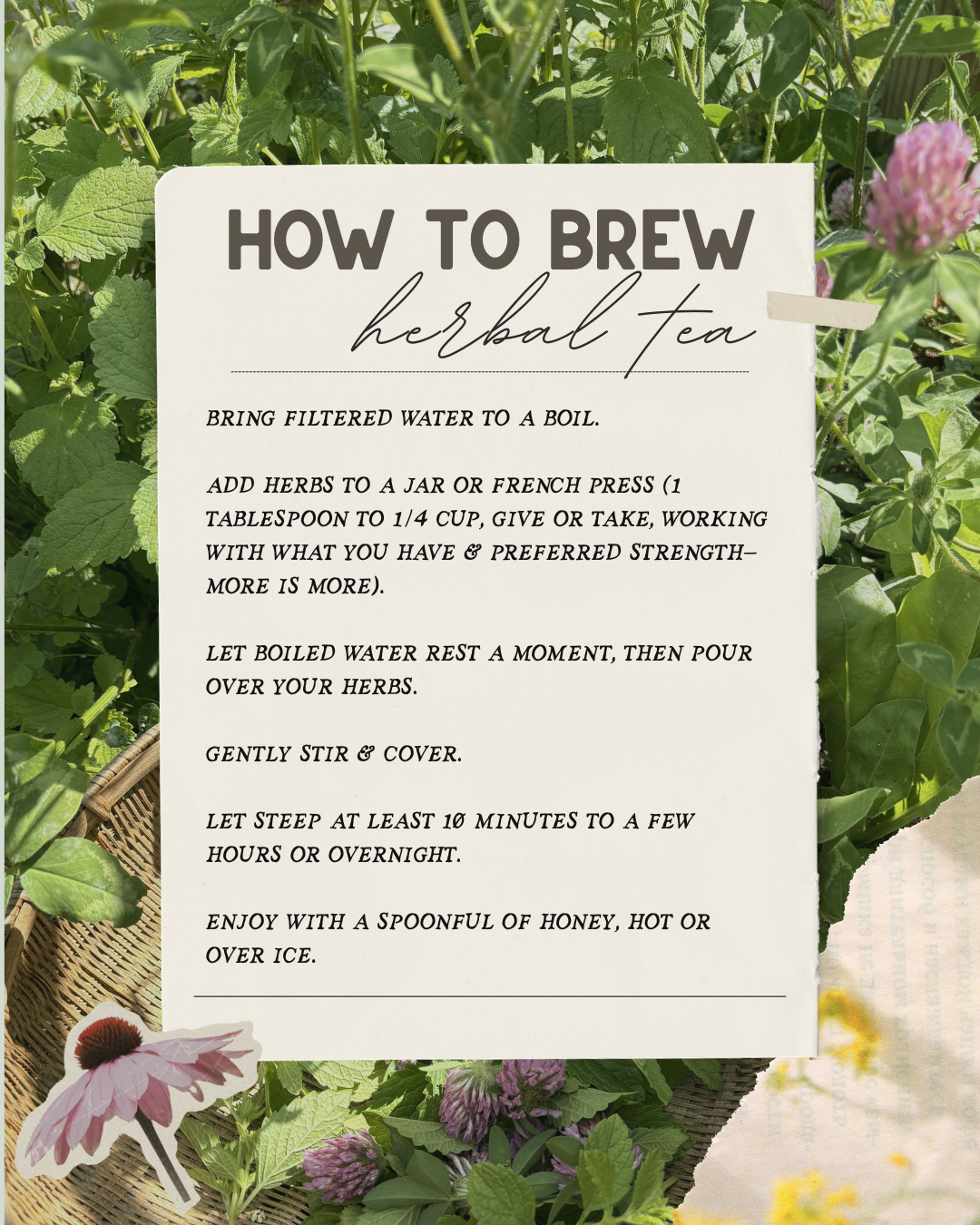 Calming Clouds Herbal Tea - Nervous-system-nourishment